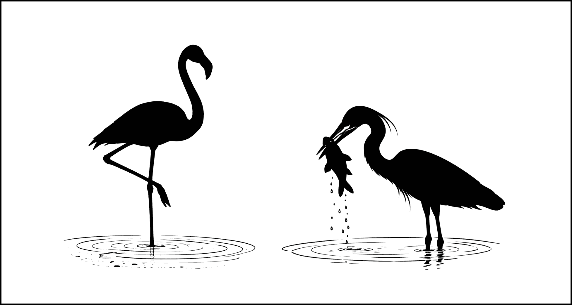 If your marketing strategy were a bird, what would it be?